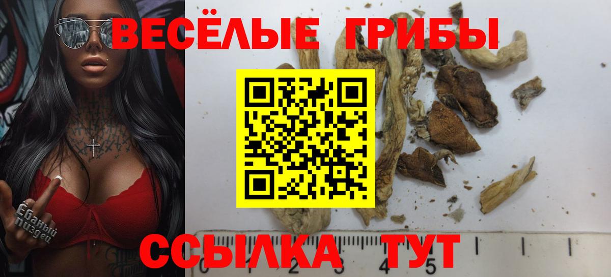 Псилоцибиновые грибы Magic Shrooms  Галлюциногенные грибы прущие грибы  Кушва  Вход с VPN 